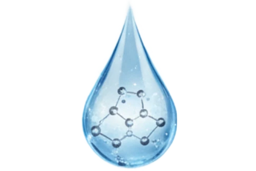NAD+ (Nicotinamide Adenine Dinucleotide)